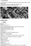 Felsőlajos Családi ház