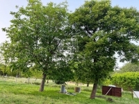 Kerekegyháza Tanya