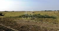 For sale agricultural area Gátér, 345000m2