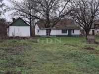 Kecskemét Tanya