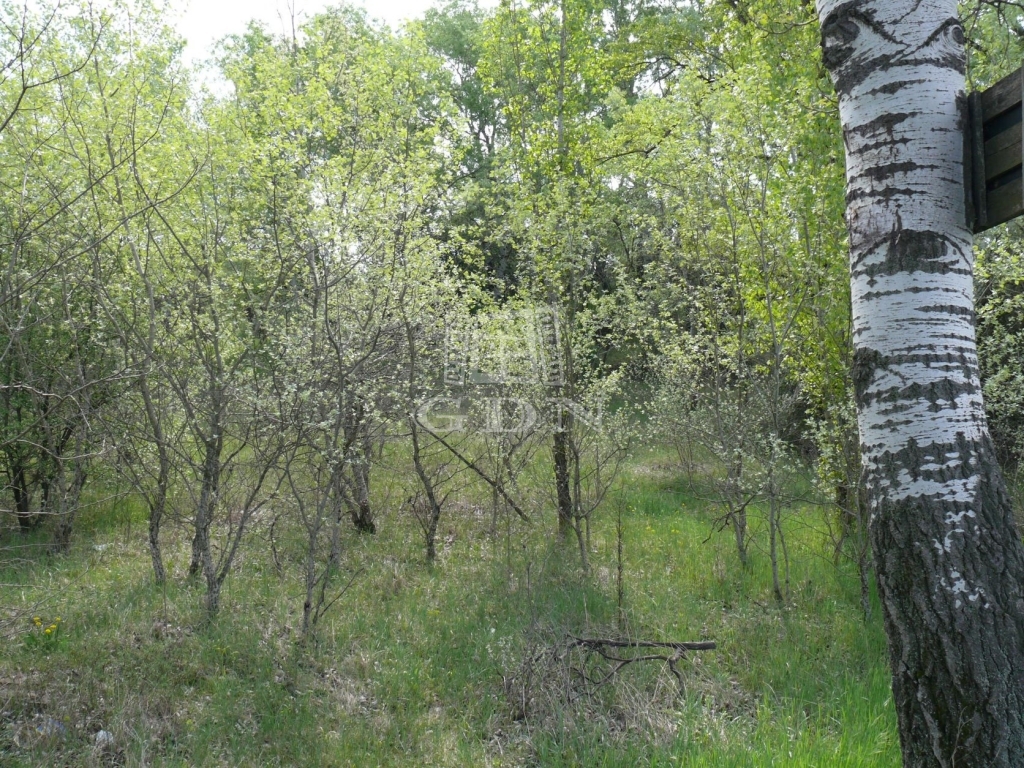 For sale Kecskemét Agricultural area