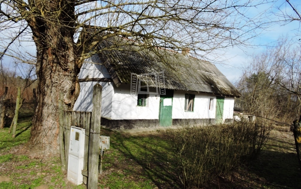 For sale Kerekegyháza Farm