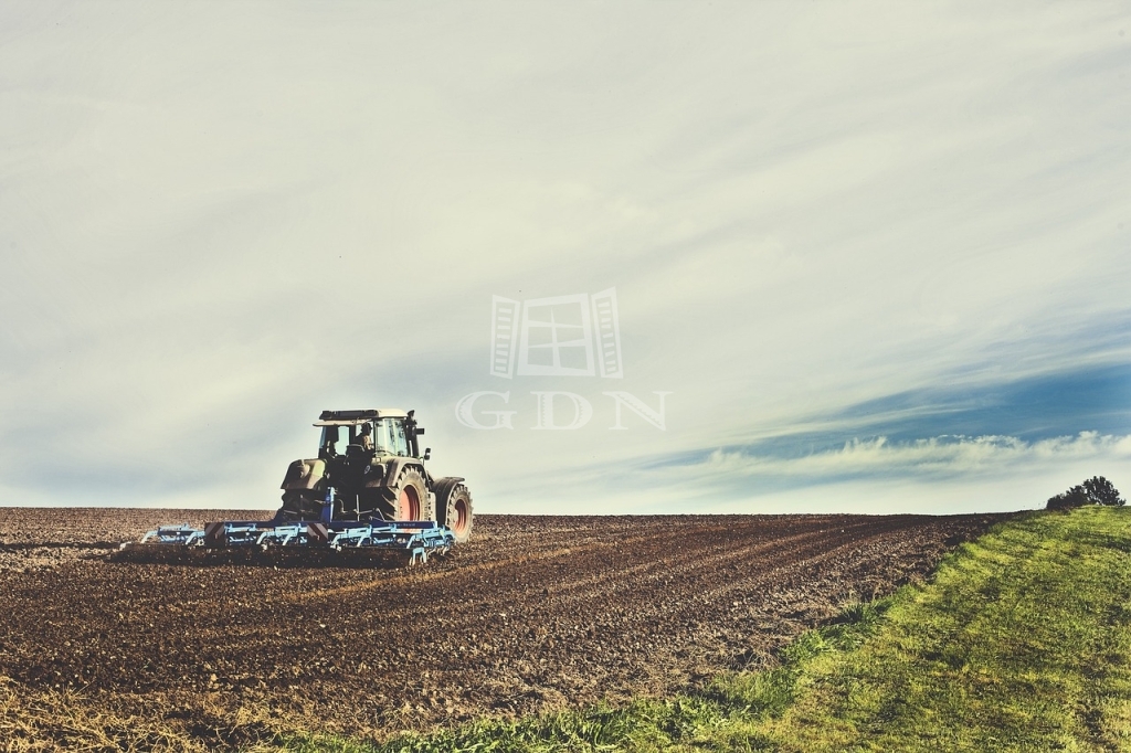 Verkauf Kunszállás Landwirtschaftliche Flächen